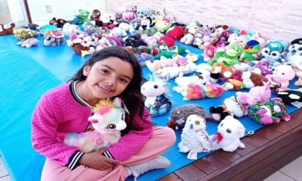 Garota de 6 anos inspira ação social de Dia das Crianças através de bichinhos de pelúcia