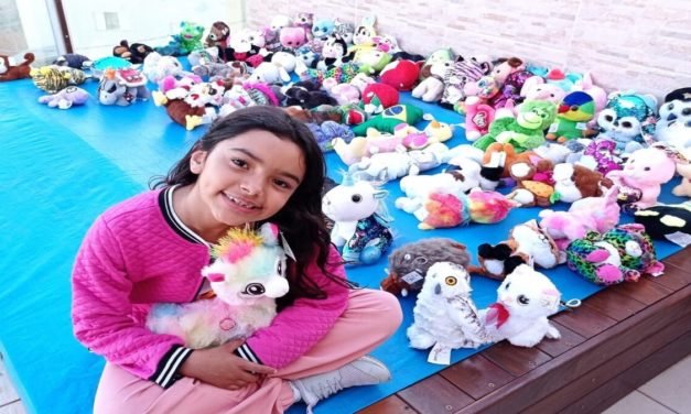 Garota de 6 anos inspira ação social de Dia das Crianças através de bichinhos de pelúcia