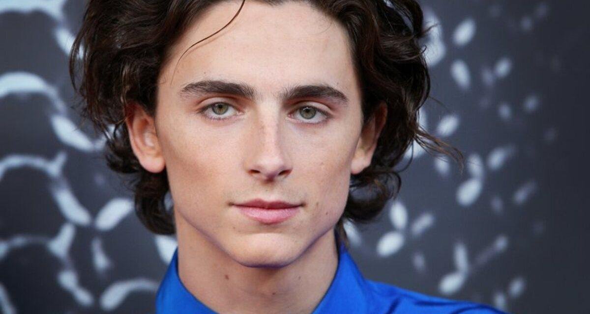 Timothée Chalamet revela primeira imagem como Willy Wonka em suas redes sociais