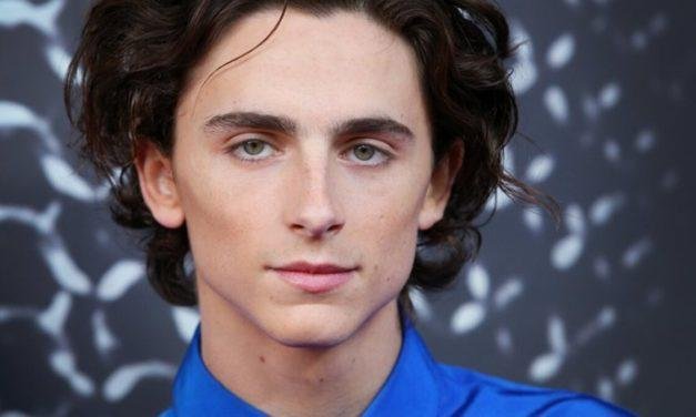 Timothée Chalamet revela primeira imagem como Willy Wonka em suas redes sociais