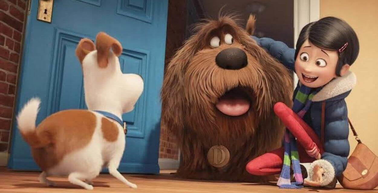Crítica | Pets – A vida secreta dos bichos