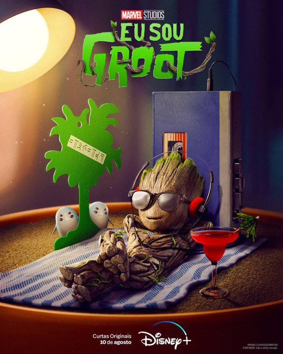 sou Groot