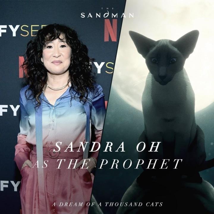 Sandra Oh é a dubladora de The Prophet.