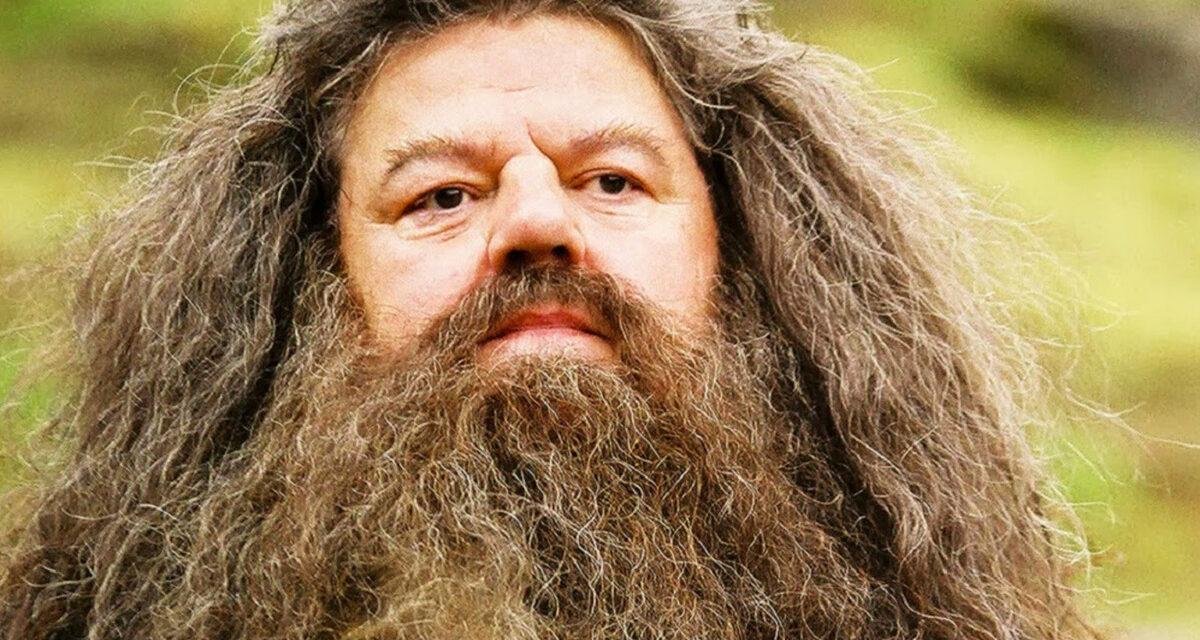 Rúbeo Hagrid: quem é o personagem que cativou os fãs em Harry Potter?