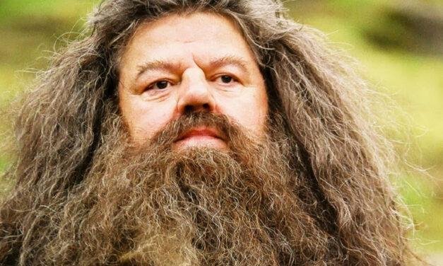 Rúbeo Hagrid: quem é o personagem que cativou os fãs em Harry Potter?
