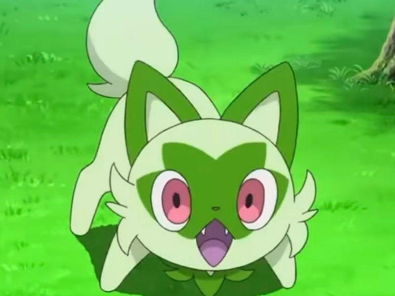 Novidades sobre o anime Pokémon;
Sprigatito, um dos Pokémon iniciais da nona geração