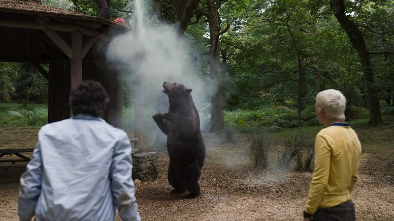 Estreia nos cinemas essa semana "O Urso do Pó Branco", filme baseado em eventos reais onde um Urso consome uma grande quantidade de cocaína. 