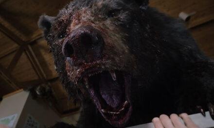 Crítica – O Urso do Pó Branco