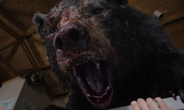 Crítica – O Urso do Pó Branco