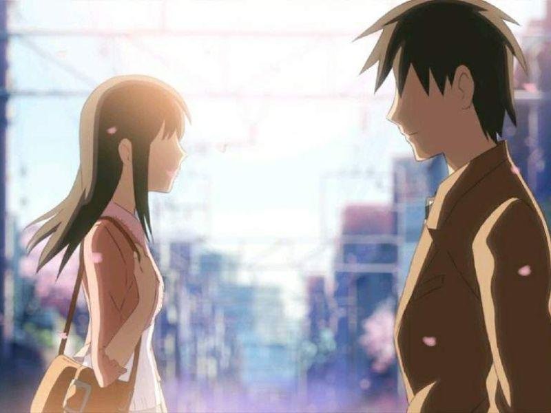 Capítulo final: 5 Centimeters per Second