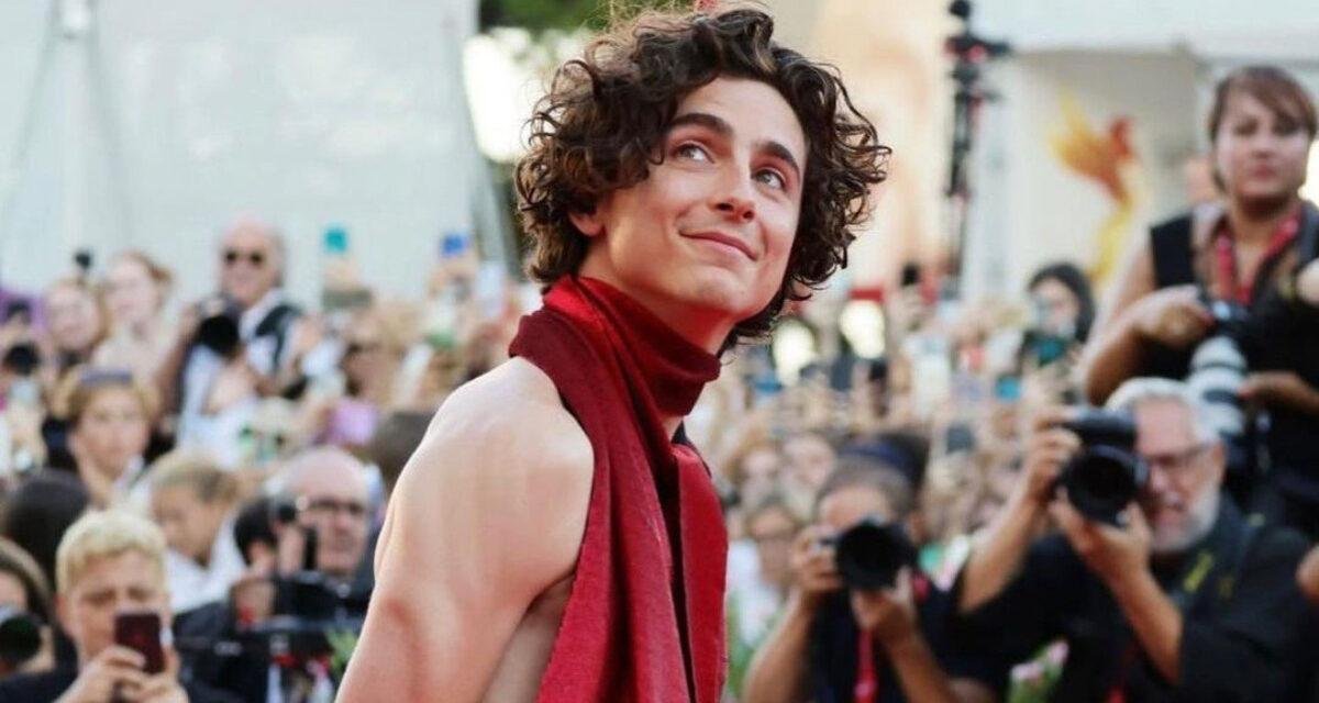 Timothée Chalamet será Bob Dylan em cinebiografia