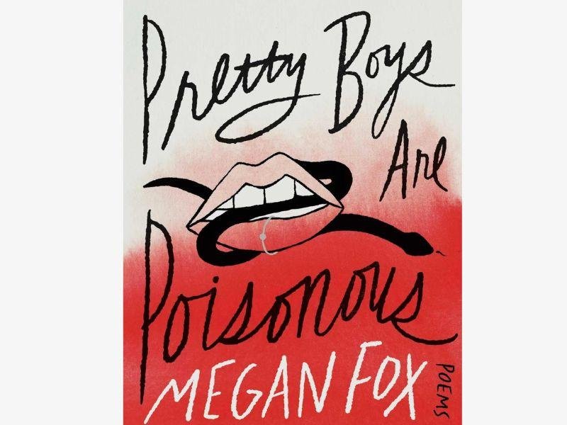 Reprodução Imagen: Capa do livro "Pretty Boys Are Poisonous"