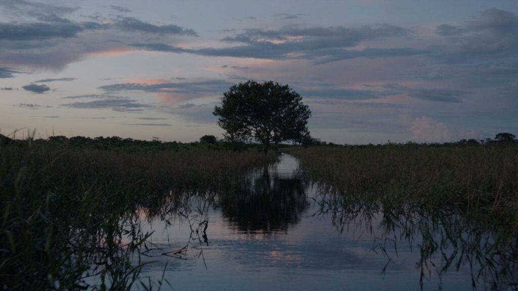 pantanal