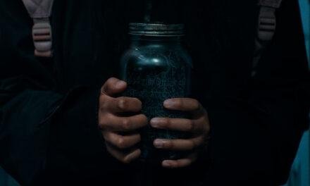 Não Abra! | Terror dos produtores de “Corra!” ganha trailer e data de estreia