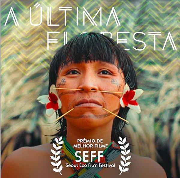 Imagem do documentário a última floresta.