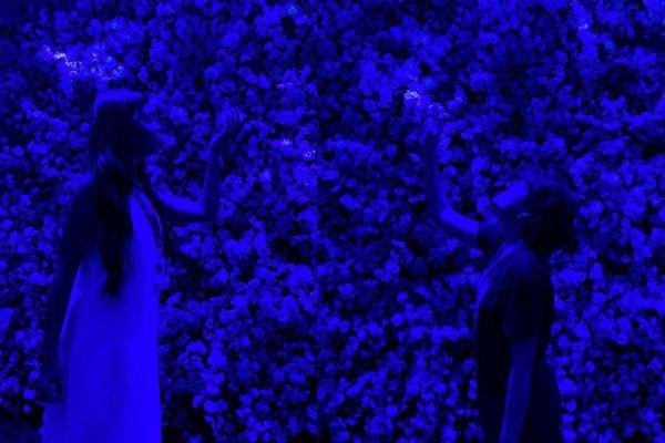 Imagem: GeekPop News / "Van Gogh Live 8K"