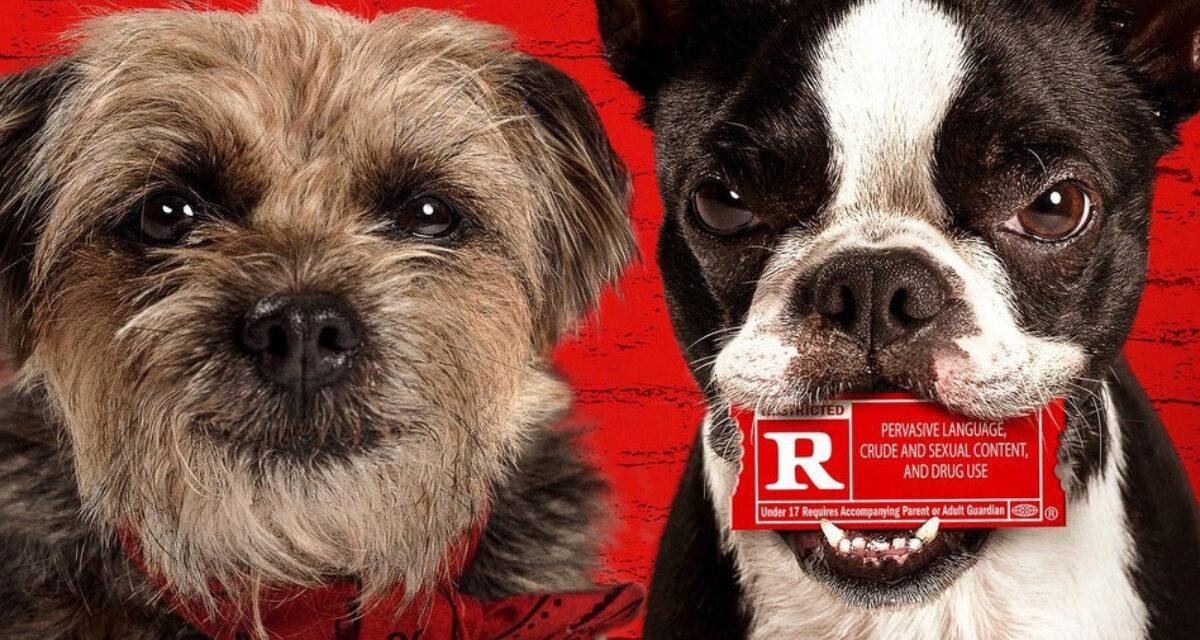 Crítica: Ruim pra cachorro