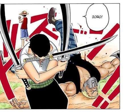 zoro luffy 