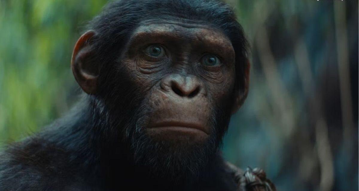 Planeta dos Macacos: O Reinado | Filme ganha trailer emocionante