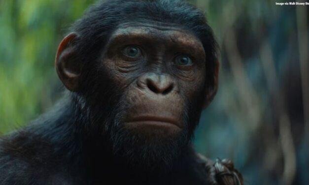 Planeta dos Macacos: O Reinado | Filme ganha trailer emocionante