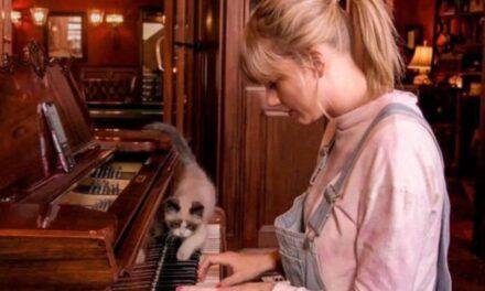 Conheça 5 documentários musicais do pop