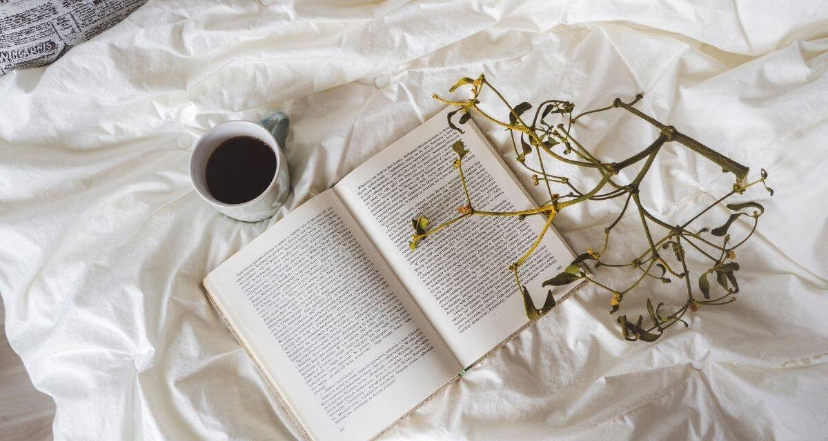 Livros para devorar no fim de semana