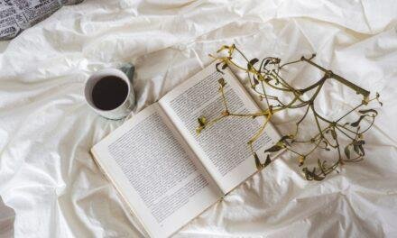 Livros para devorar no fim de semana