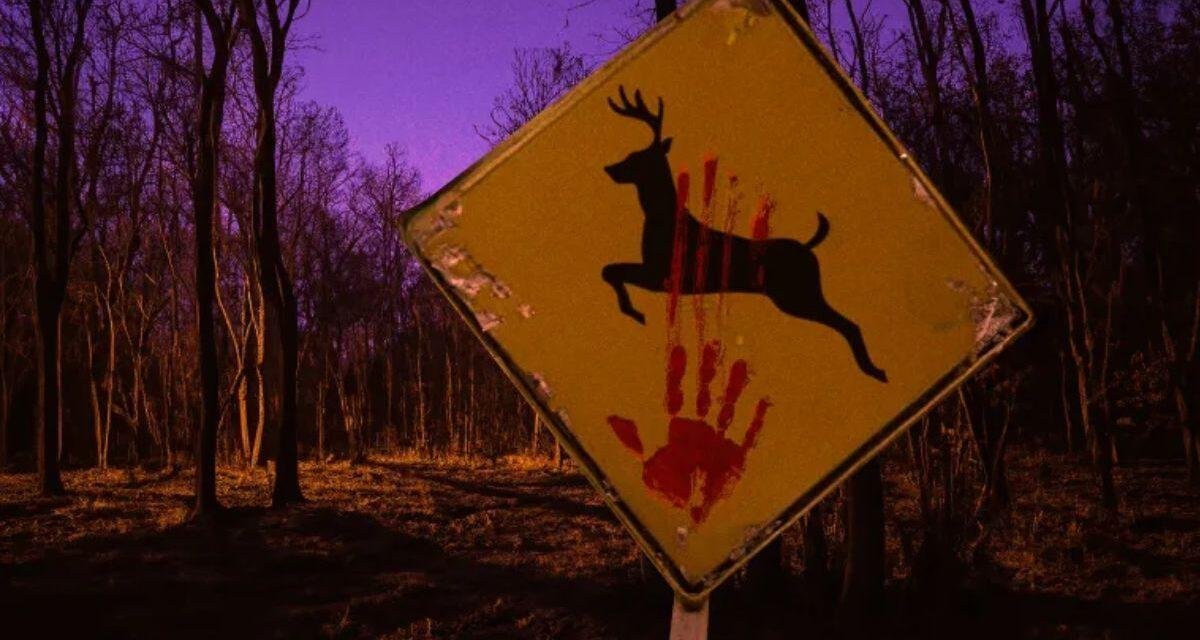 Bampire: Bambi ganhará uma versão em filme de terror. Confira