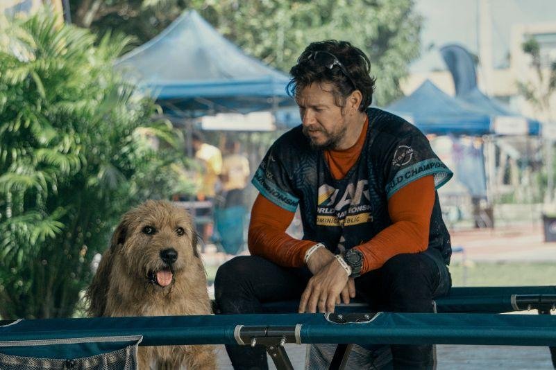 Michael e o cão Arthur em cena de Uma Prova de Coragem