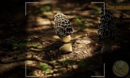 Review | Morels: The Hunt 2
