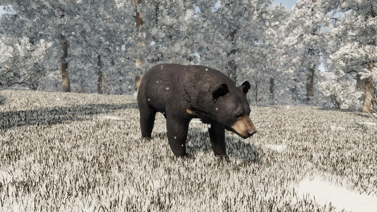 Urso preto em pé em meio a um cenário invernal com árvores geladas ao redor no jogo Sengoku Dynasty.