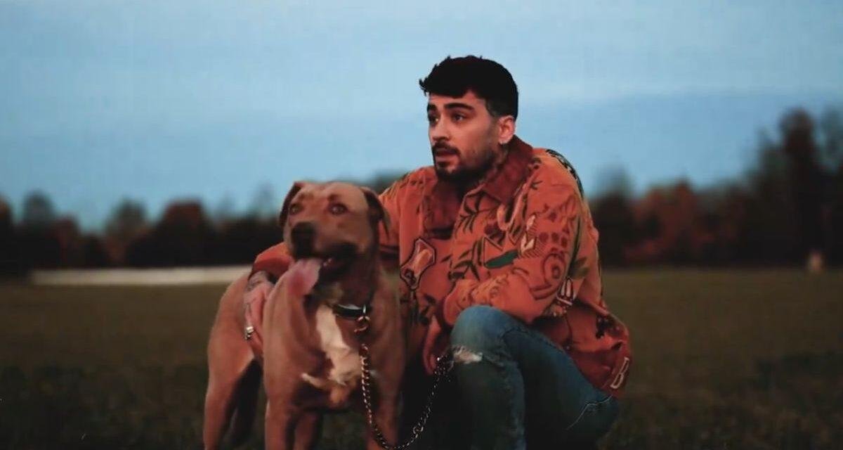 Zayn anuncia novo single ‘What I Am’ e divulga prévia