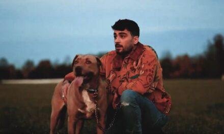 Room Under The Stairs: Zayn anuncia lançamento de novo álbum para maio