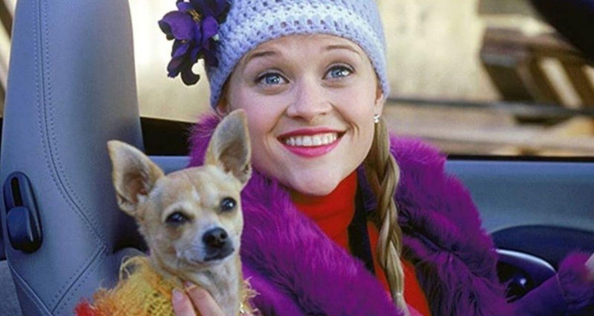 Legalmente Loira | Série está em desenvolvimento pela Amazon Prime