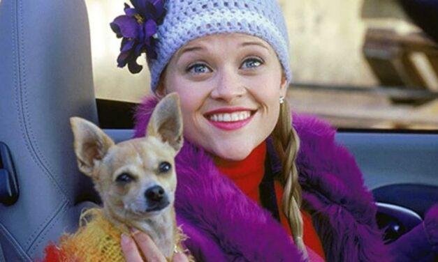 Legalmente Loira | Série está em desenvolvimento pela Amazon Prime