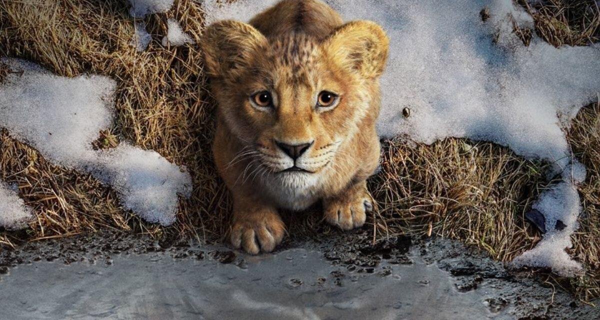 Mufasa: O Rei Leão | Filme sobre a jornada de Mufasa ganha teaser