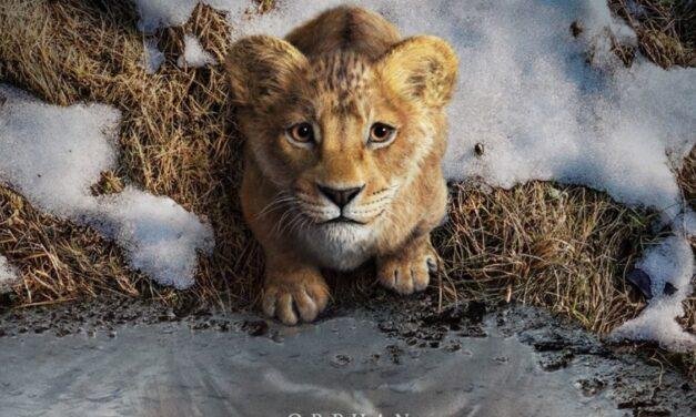Mufasa: O Rei Leão | Filme sobre a jornada de Mufasa ganha teaser