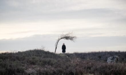 Review | Doctor Who: 73 Jardas (73 Yards)