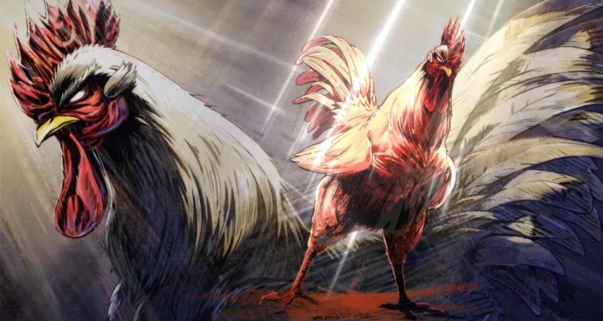 Rooster Fighter: O anime do galo lutador é anunciado