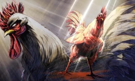 Rooster Fighter: O anime do galo lutador é anunciado
