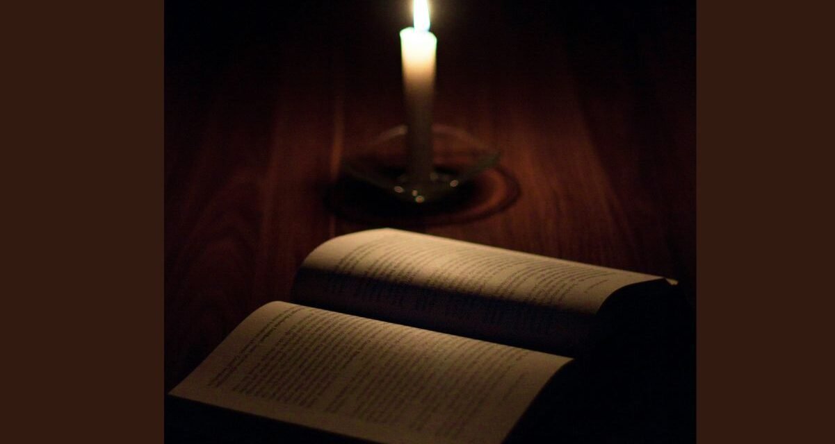 Leitura antes de dormir: os três gêneros favoritos dos leitores