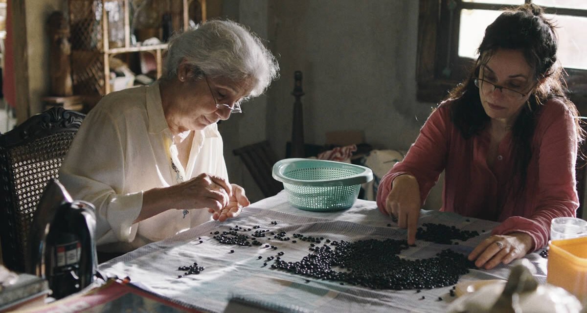 Drama Brasileiro ‘Malu’ encanta a crítica internacional