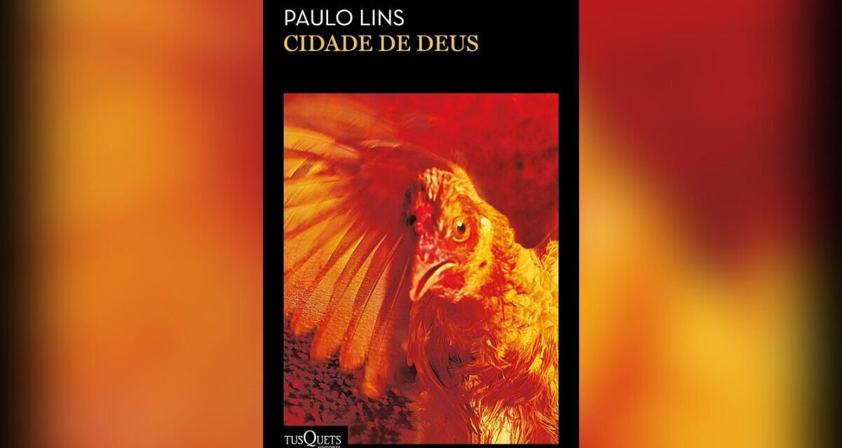 Cidade de Deus: Conheça o Livro que Inspirou o Filme
