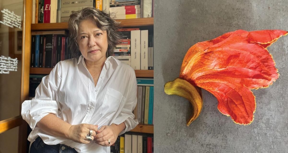 Entrevista com Valéria Grassi autora de “Intermitências Apenas”