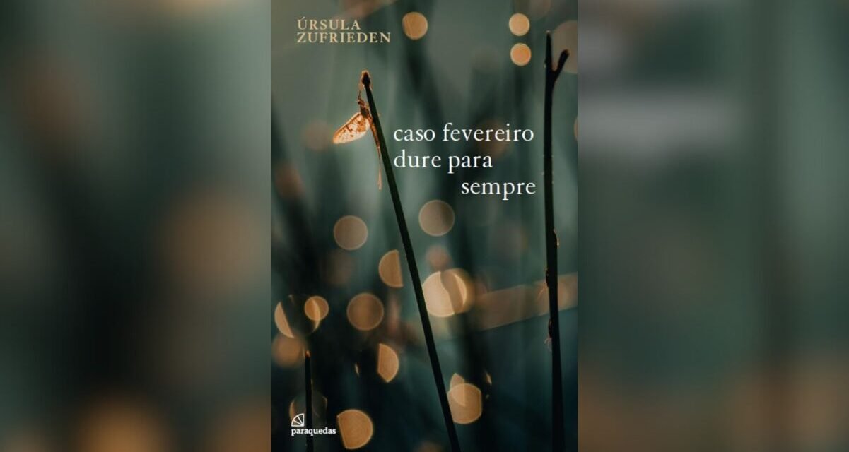 Resenha: caso fevereiro dure para sempre