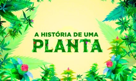 Review – A História de uma Planta | Episódio 01 – O Rejuvenescimento Do Cérebro