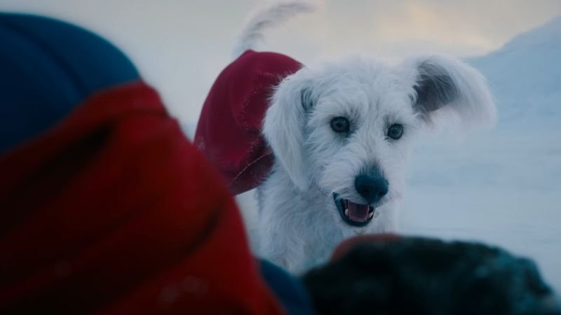 Krypto, o Super-Cão