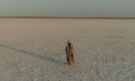 Crítica | Alma do Deserto