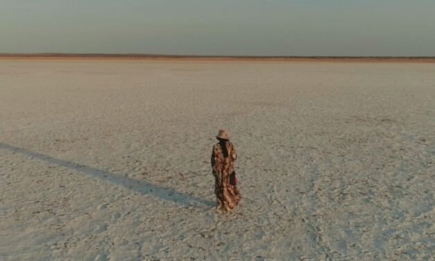 Crítica | Alma do Deserto