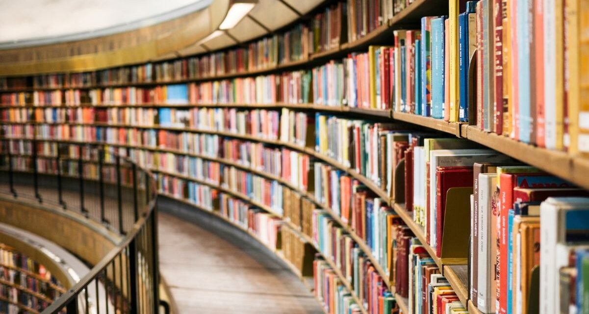 Dia Internacional da Doação de Livros: saiba como colaborar